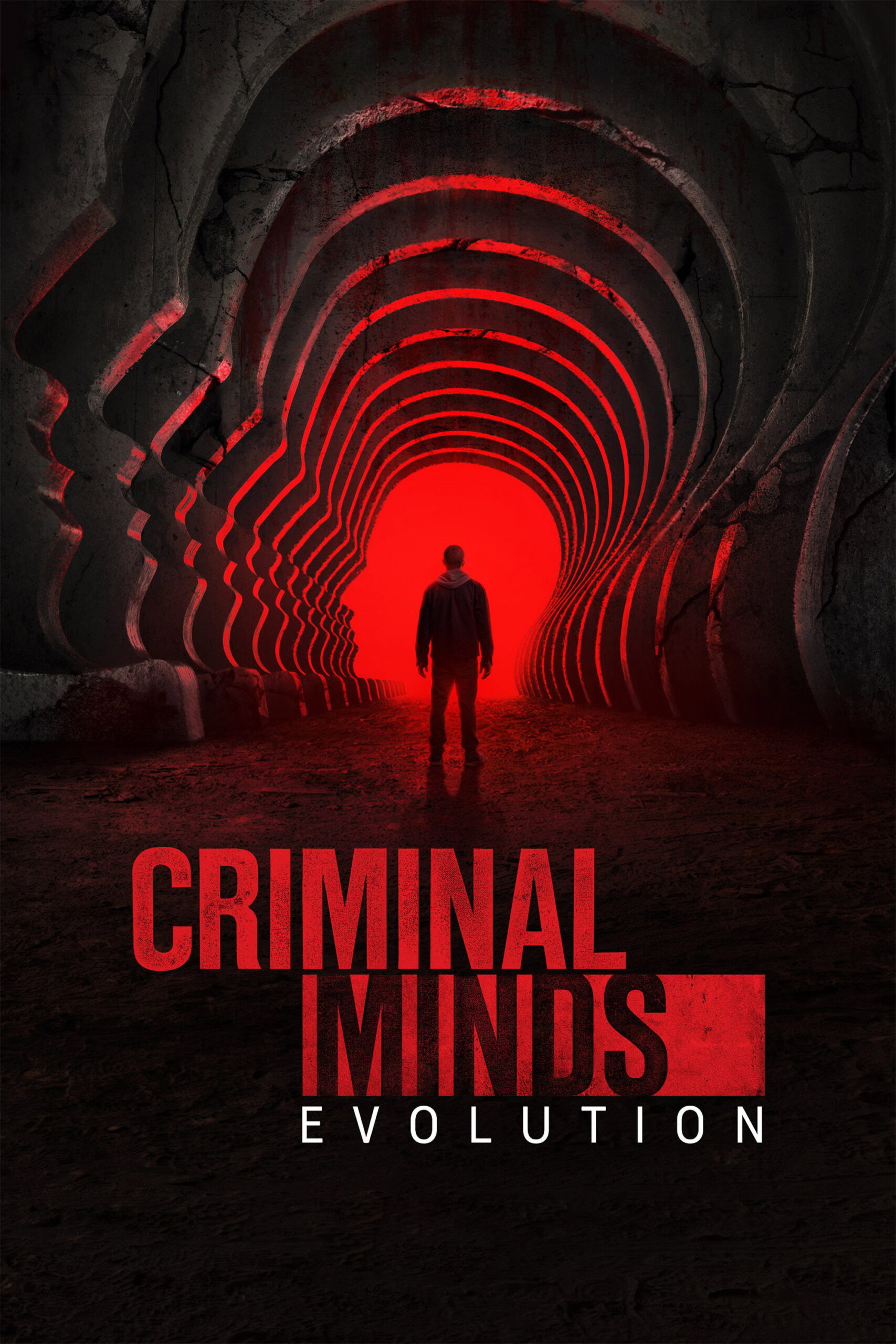 'Criminal Minds' (2005– )